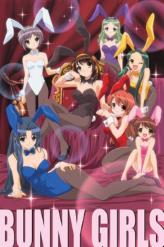 □1000ピースジグソーパズル 涼宮ハルヒの憂鬱 究極のバニーガール