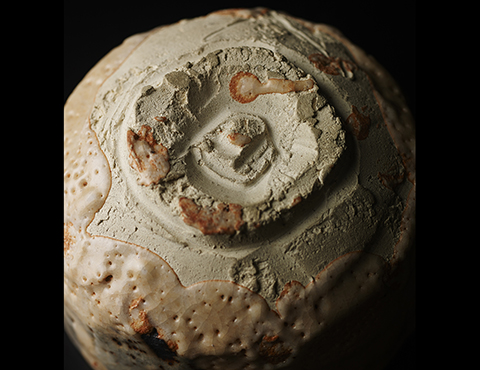 絵志野茶碗 | しぶや黒田陶苑