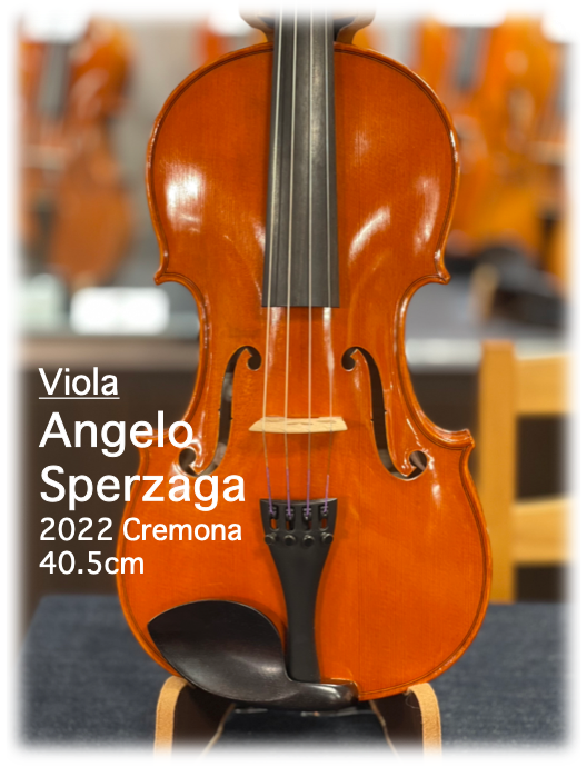 福田英明先生による楽器選定シリーズ！【クレモナ弦楽器製作学校名誉