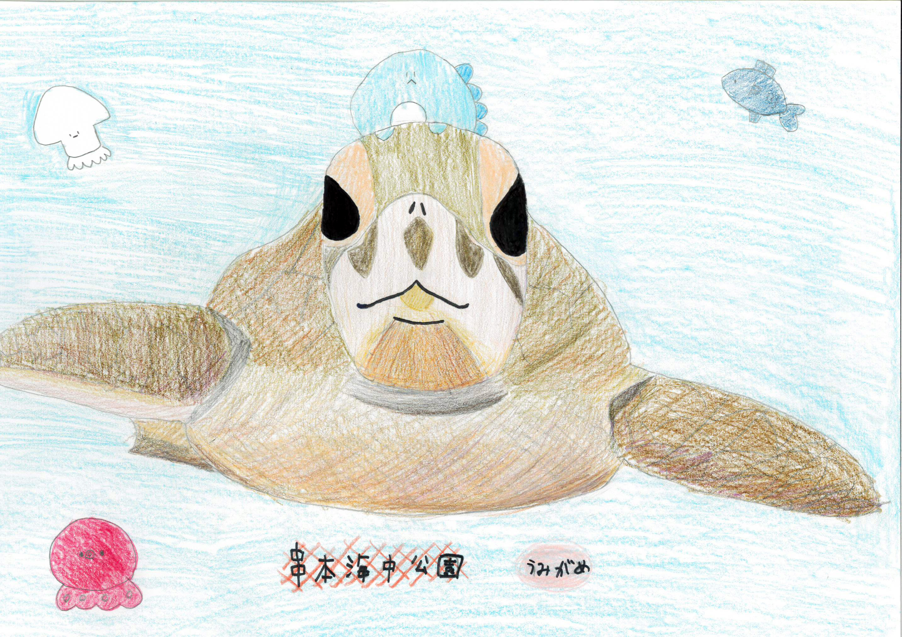 ウミガメおえかきコンテスト2024 | ウミガメおえかきコンテスト2024