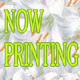 時代劇] 幕末長岡藩 河井継之助 ～駆け抜けた蒼龍（DVD）