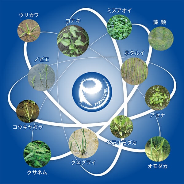 4つの特長 | 協友アグリ