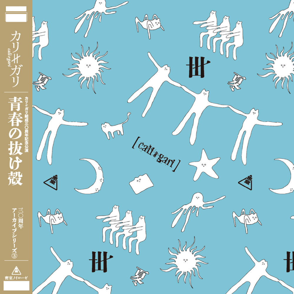 Blu-ray】30周年ライブアーカイブ③「青春の抜け殻」 | CGマルシェ