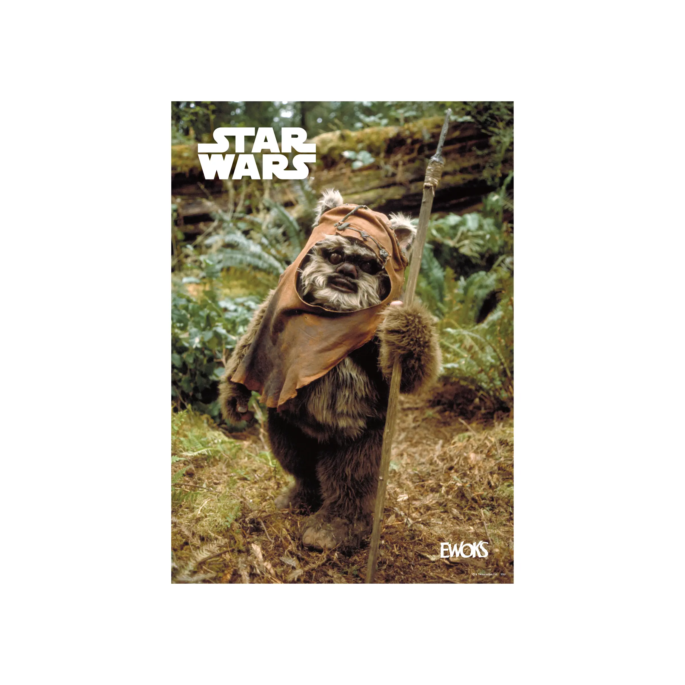 Happyくじ / STAR WARS™『EWOKS』 - Happyくじ