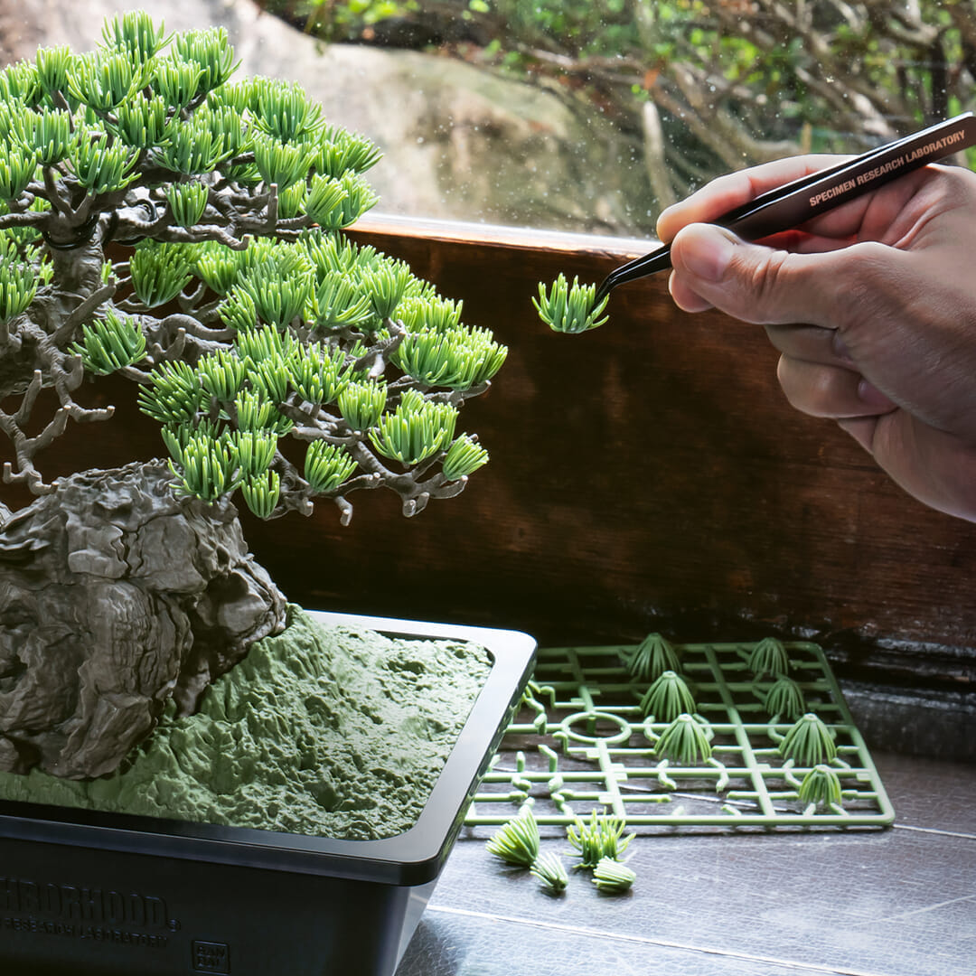 Neighborhood and Bandai Spirits. The launch of the bonsai plastic