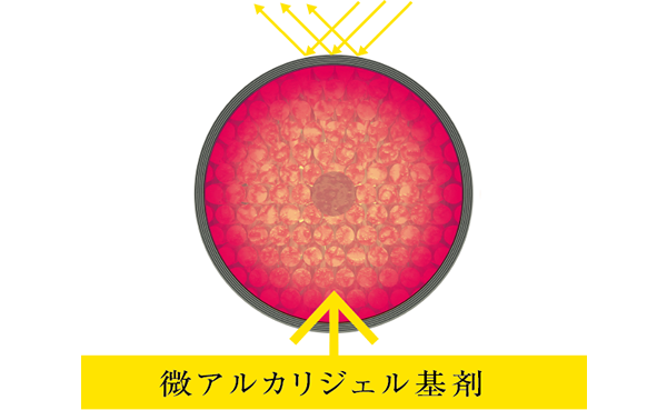 プロマスター トナーオン | 商品情報 | ホーユープロフェッショナル