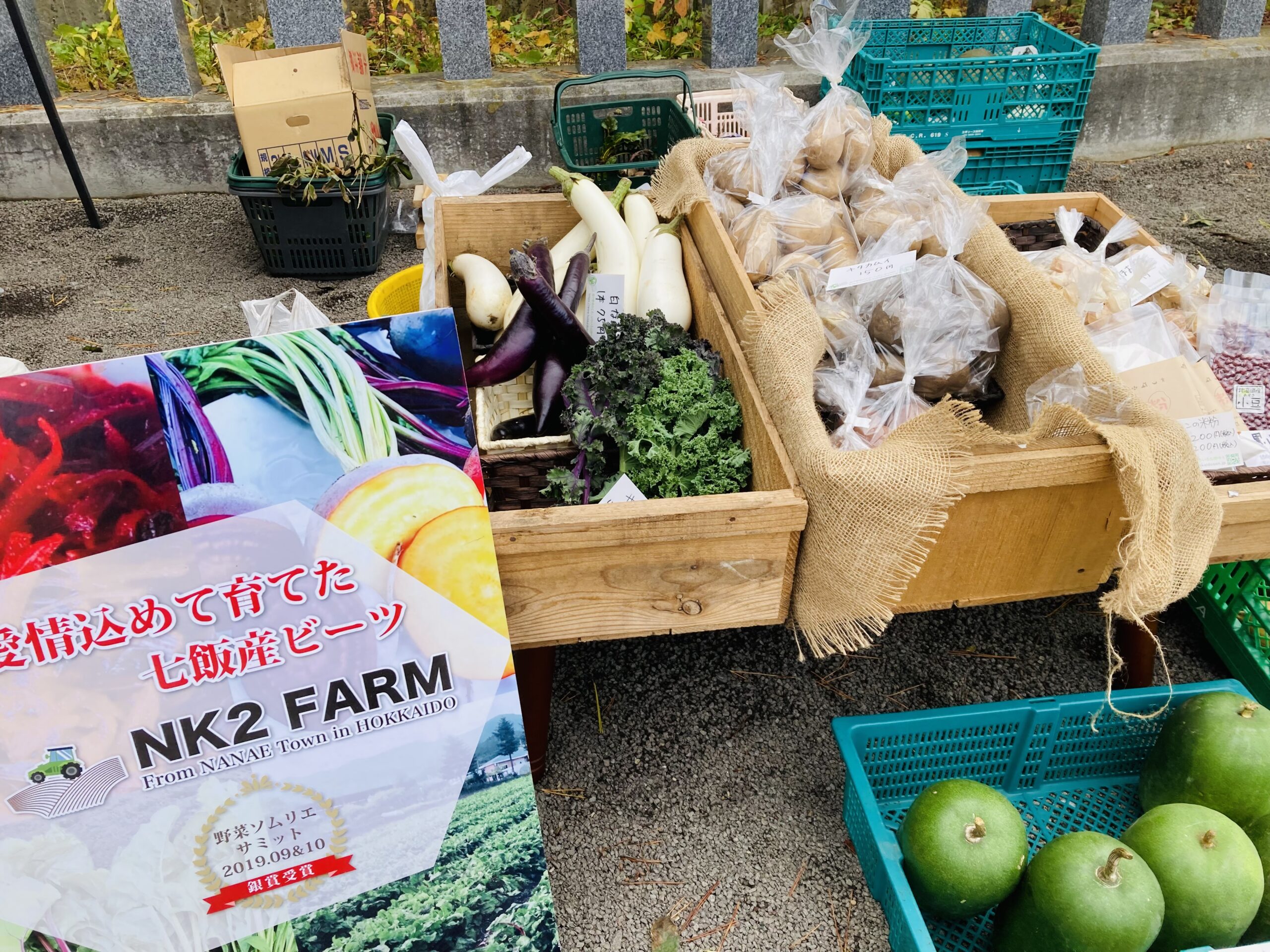 美品 ミサカエカタベ 30点 インド産 ノシメガンセキ 15点 計45点セット