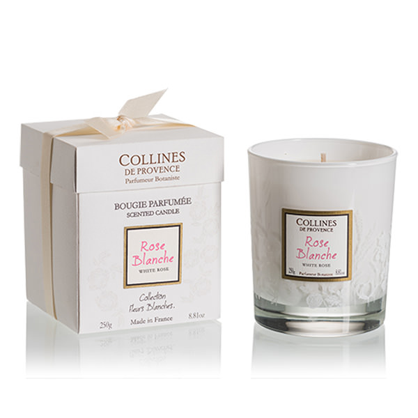 コリンヌ・ド・プロヴァンス/FB センテッドキャンドル カメリア｜自然