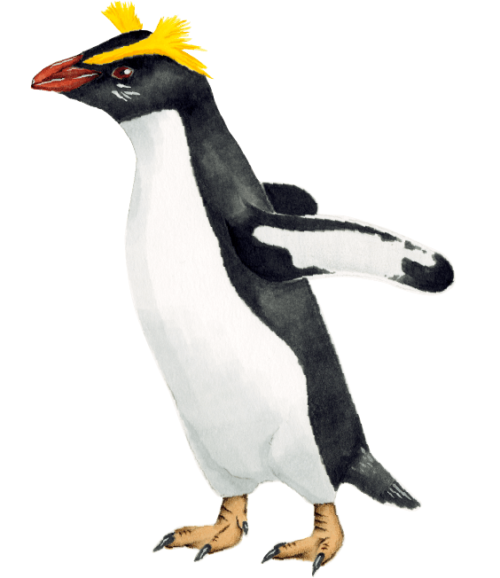 ペンギンライブラリー［Penguin Library］｜ホシザキ株式会社