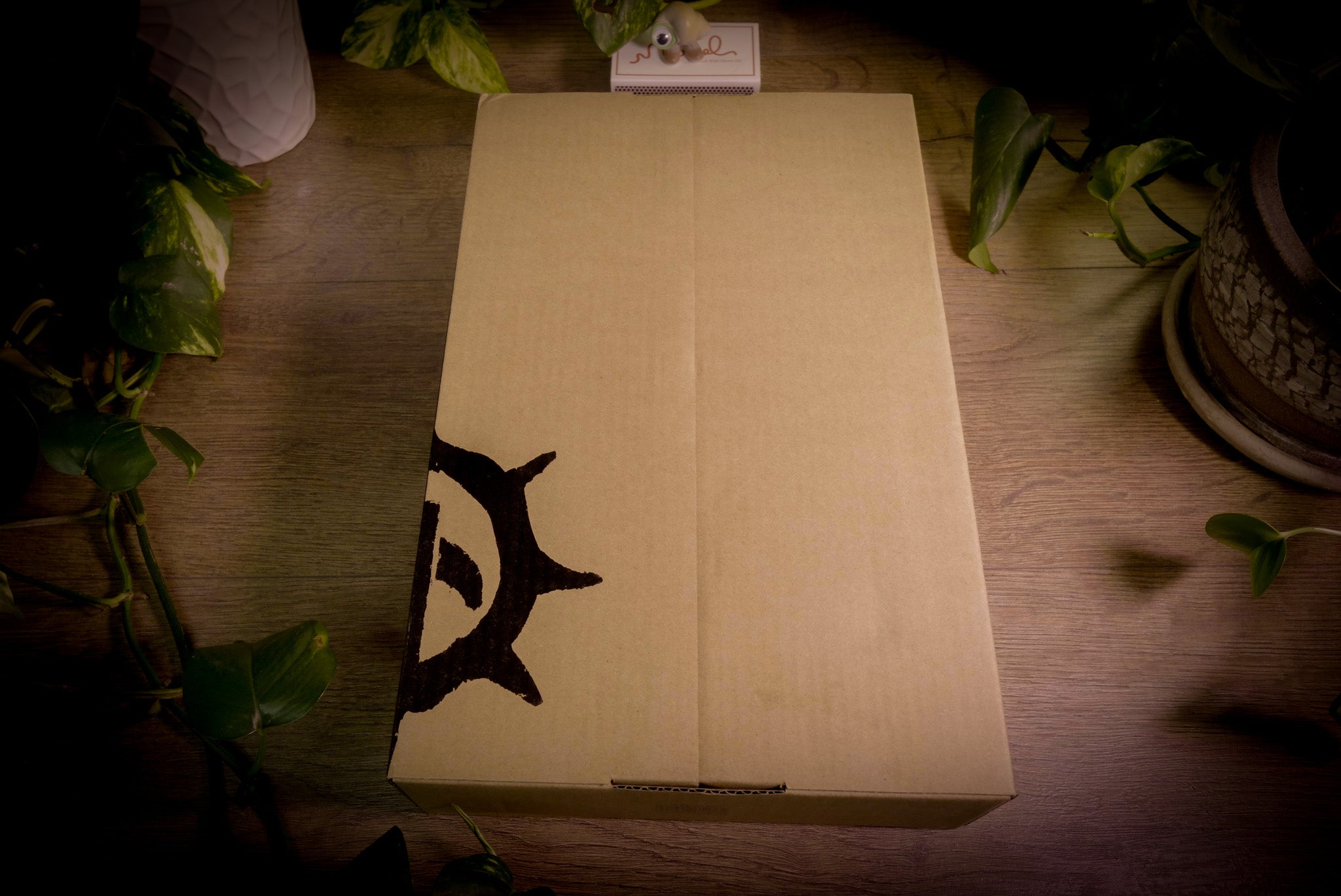 20200111-00003.jpg?v=