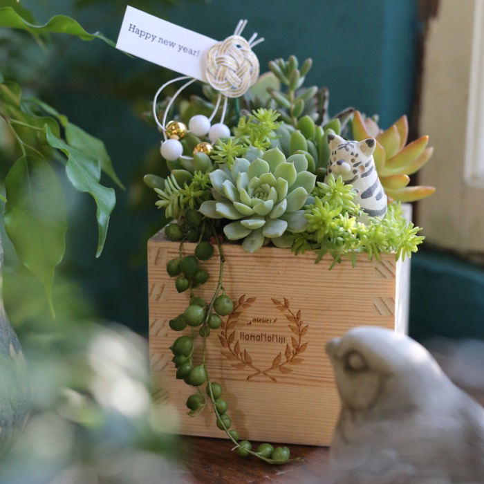 予約販売】自分で植える・干支人形つき多肉植物の苗セット（植え方動画