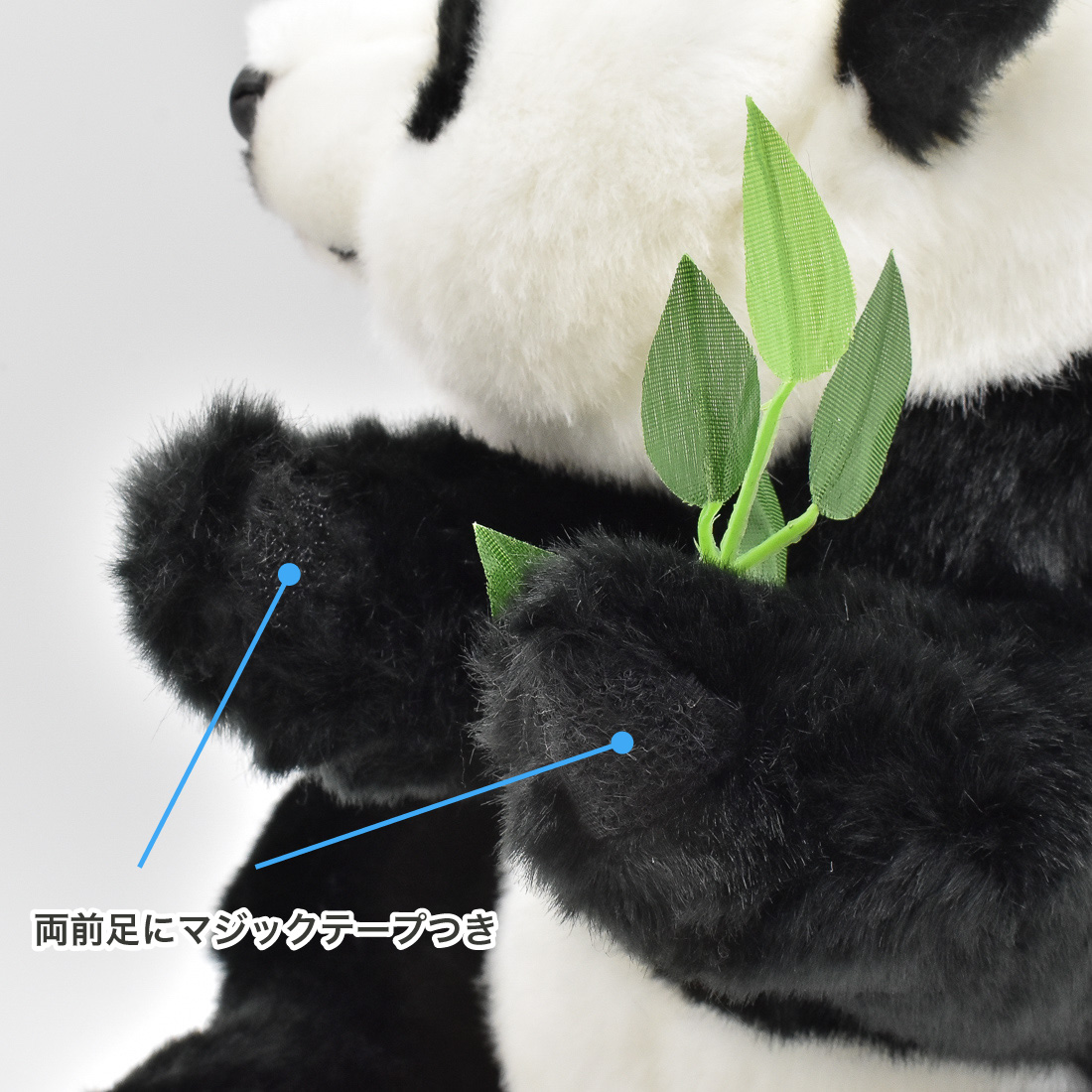 ジャイアントパンダ 33 | HANSA