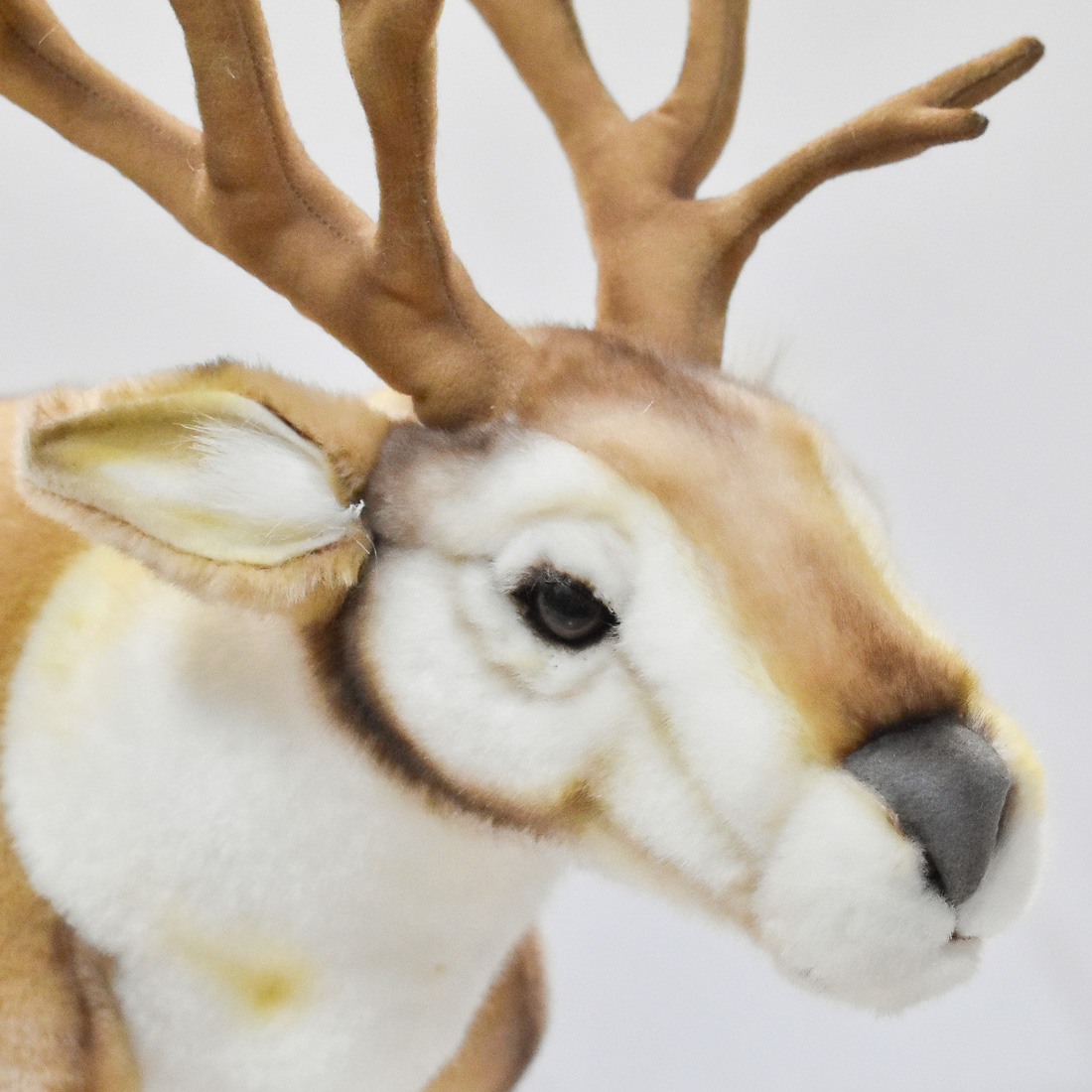 トナカイ 45 | HANSA