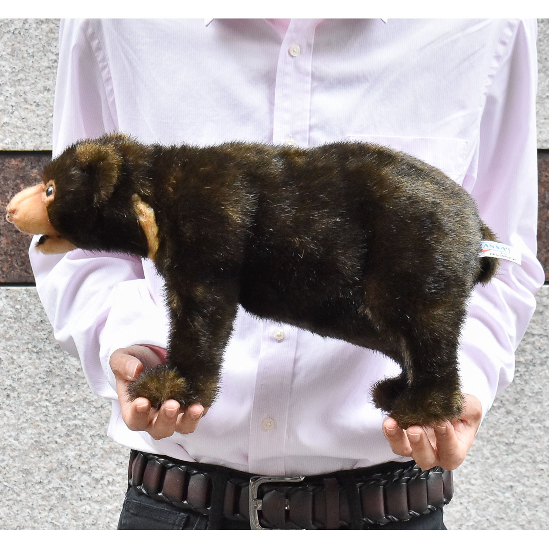 マレーグマ 40 | HANSA