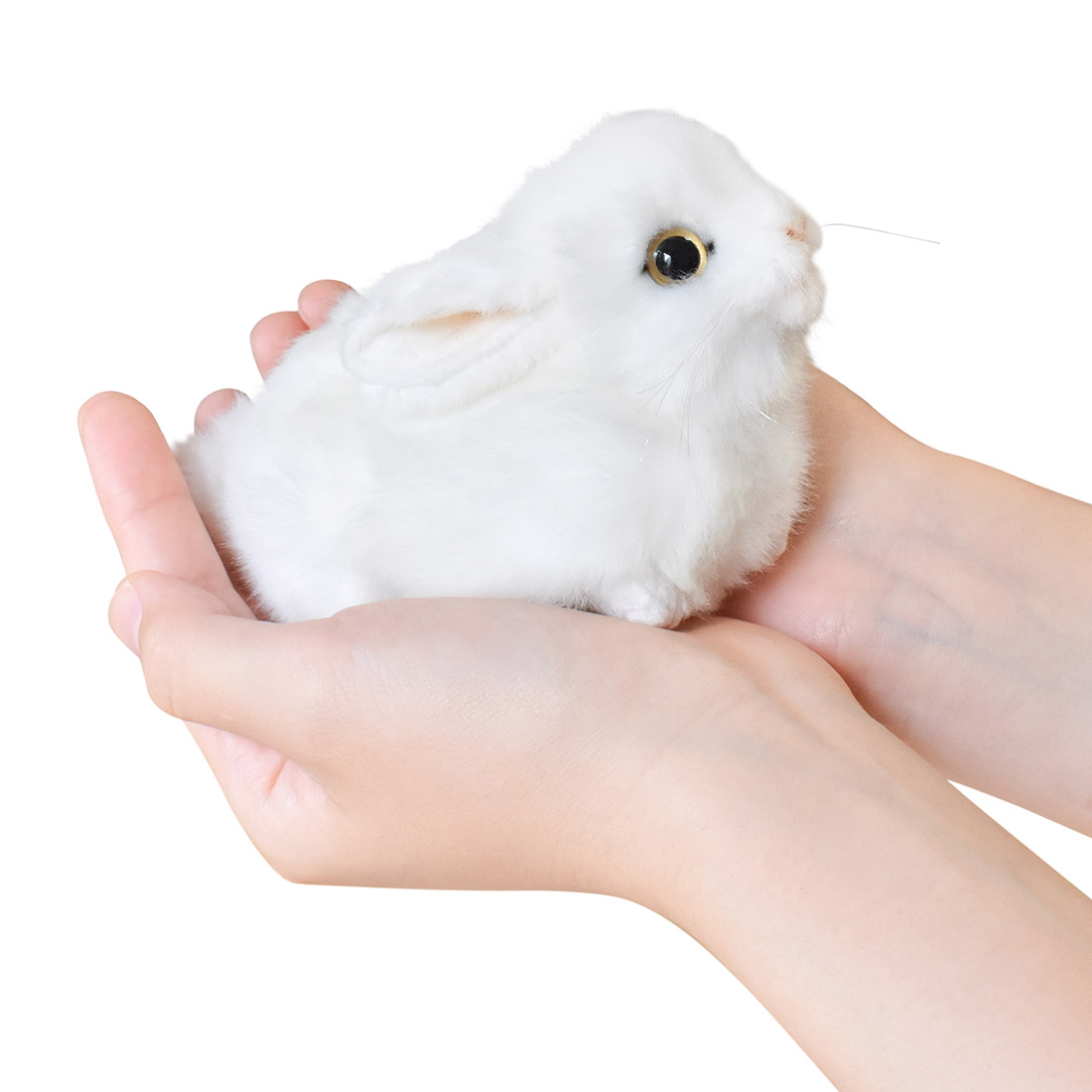 ウサギ 16 | HANSA