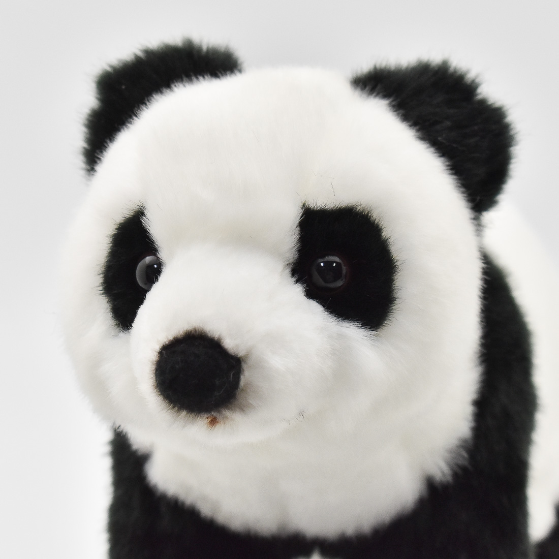 ジャイアントパンダ 32 | HANSA