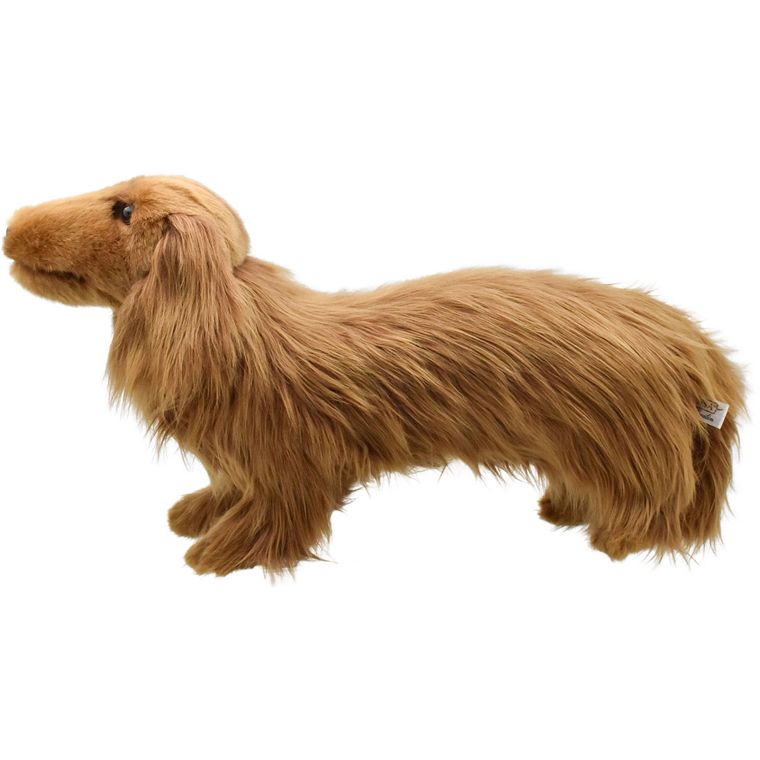 ミニチュアダックスフンド ロングヘア ブラウン 62 | HANSA