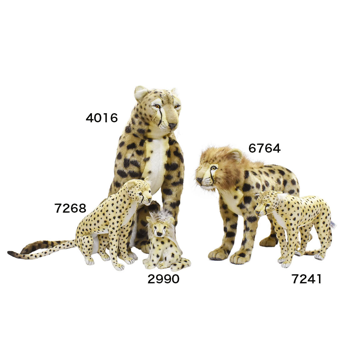 チーター(仔) 21 | HANSA