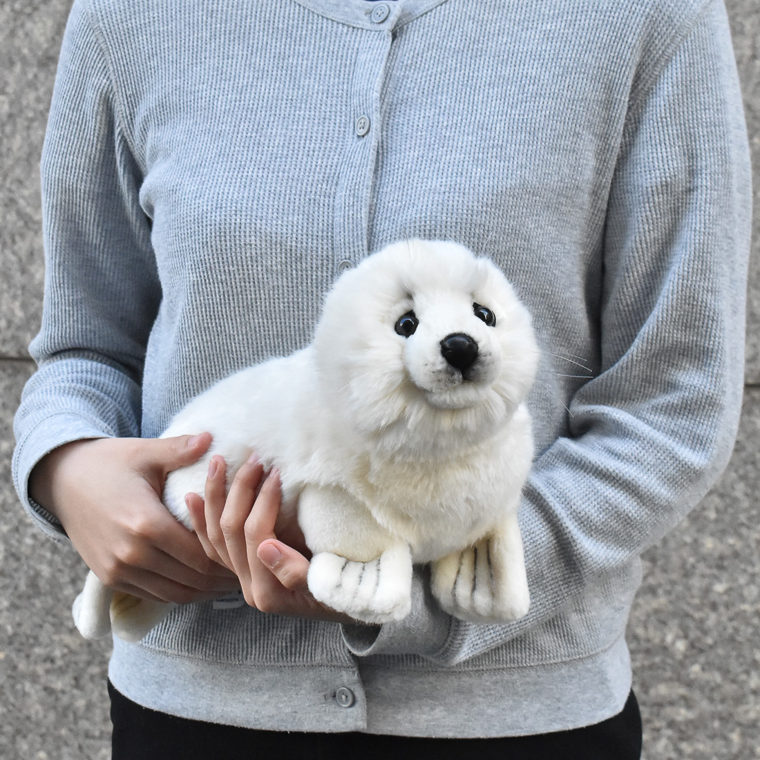 シロアザラシ 35 | HANSA