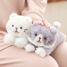 ふくふくにゃんこ ごろにゃんぬいぐるみ（ハッチ・しろたま） – HAPiNS