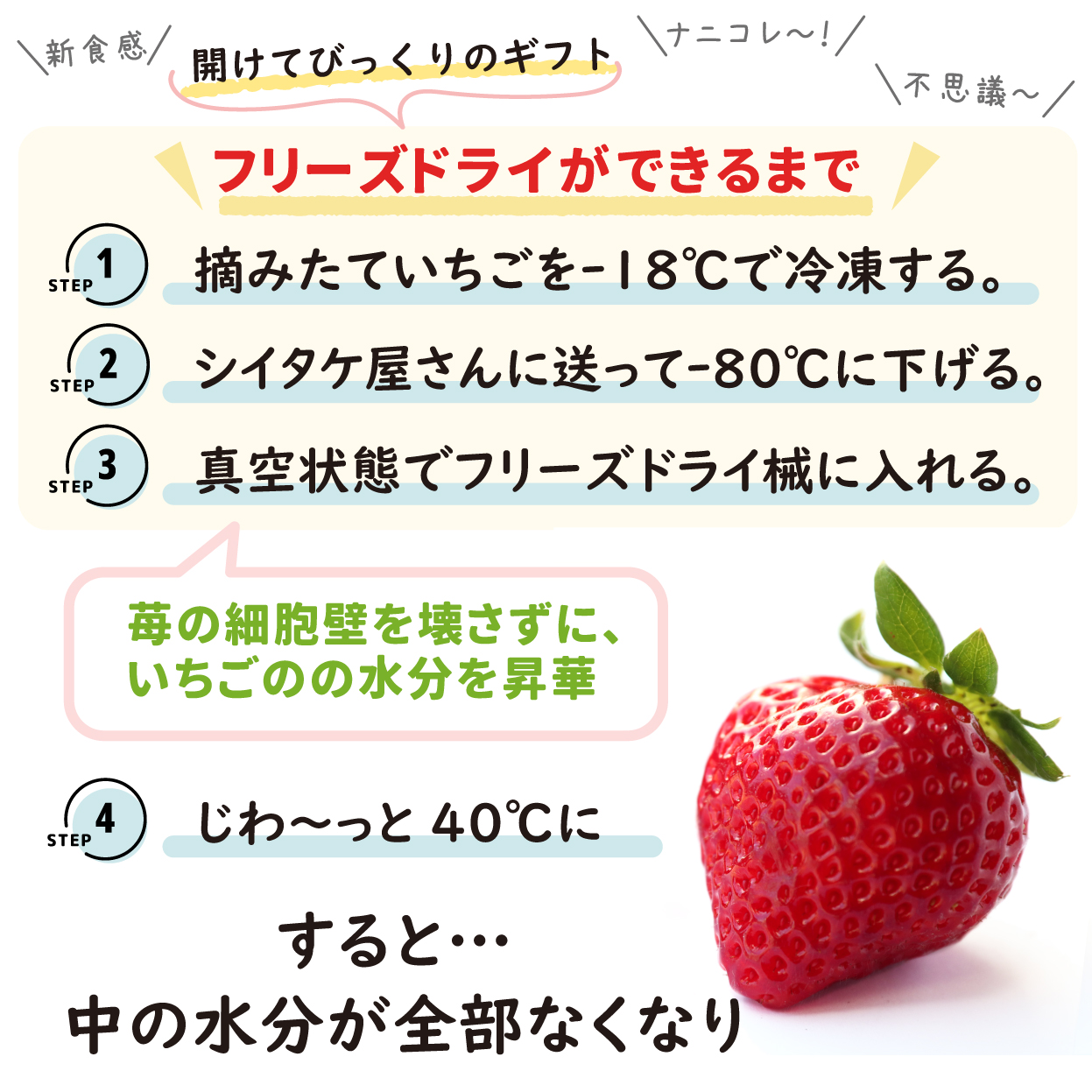 VIPボックス赤 フリーズドライあまおうセット (20g×3袋)