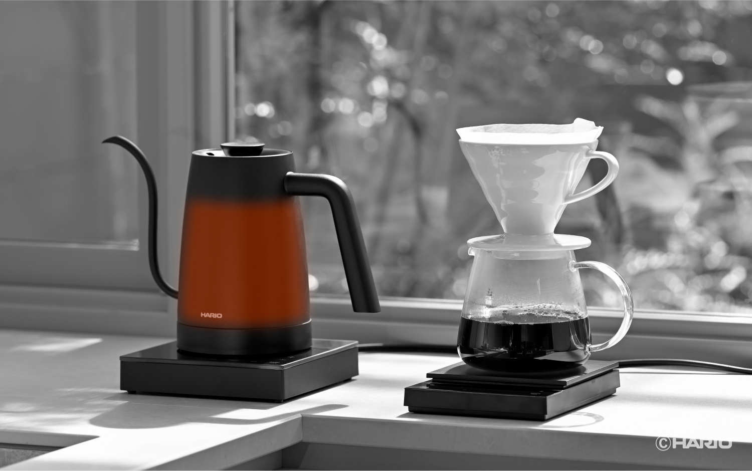 HARIO Lyra Polaris ライラとポラリスのセット HARIO Lyra Polaris