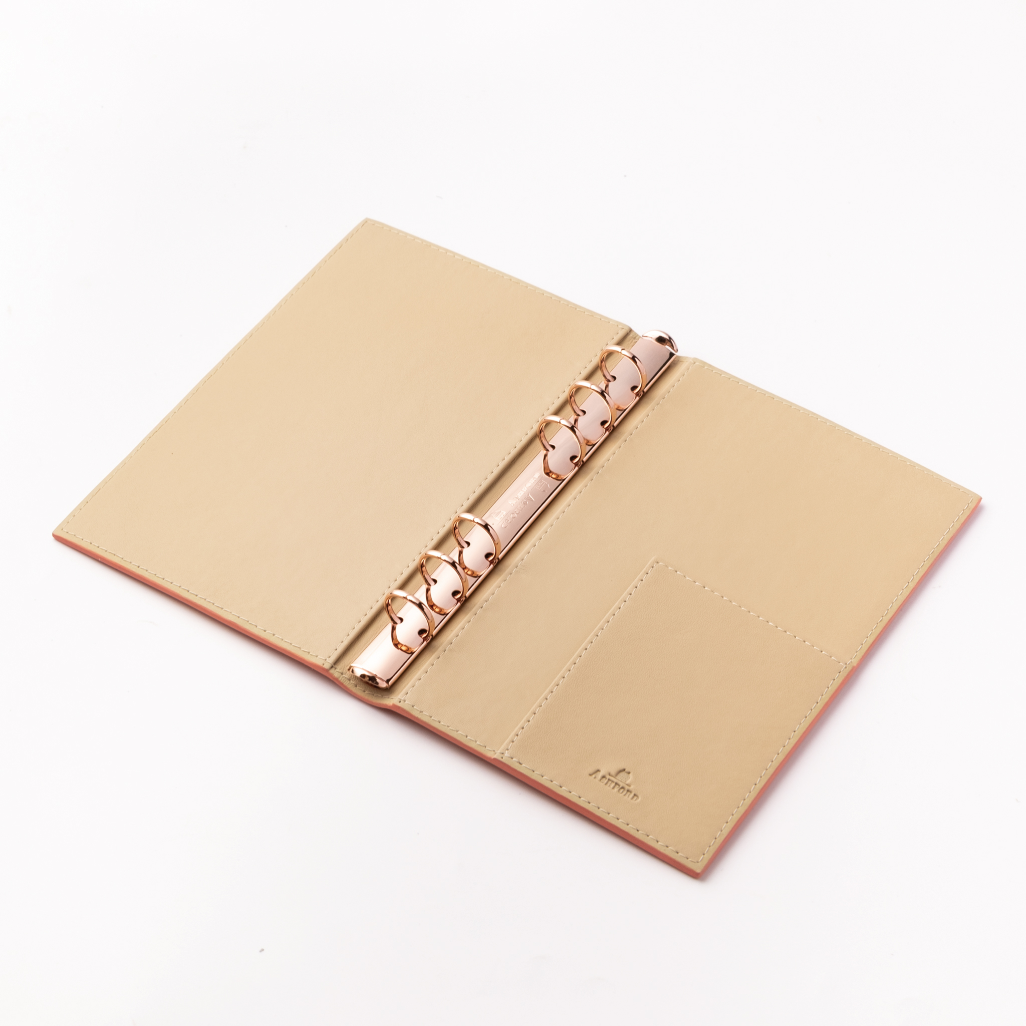 秋桜・ダイアリー | 記事・お知らせ | 八文字屋 | いつも新しい発見が