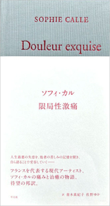 限局性激痛 - 平凡社