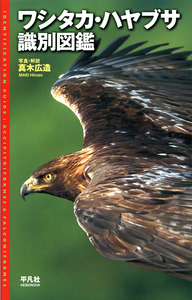 ワシタカ・ハヤブサ識別図鑑 - 平凡社