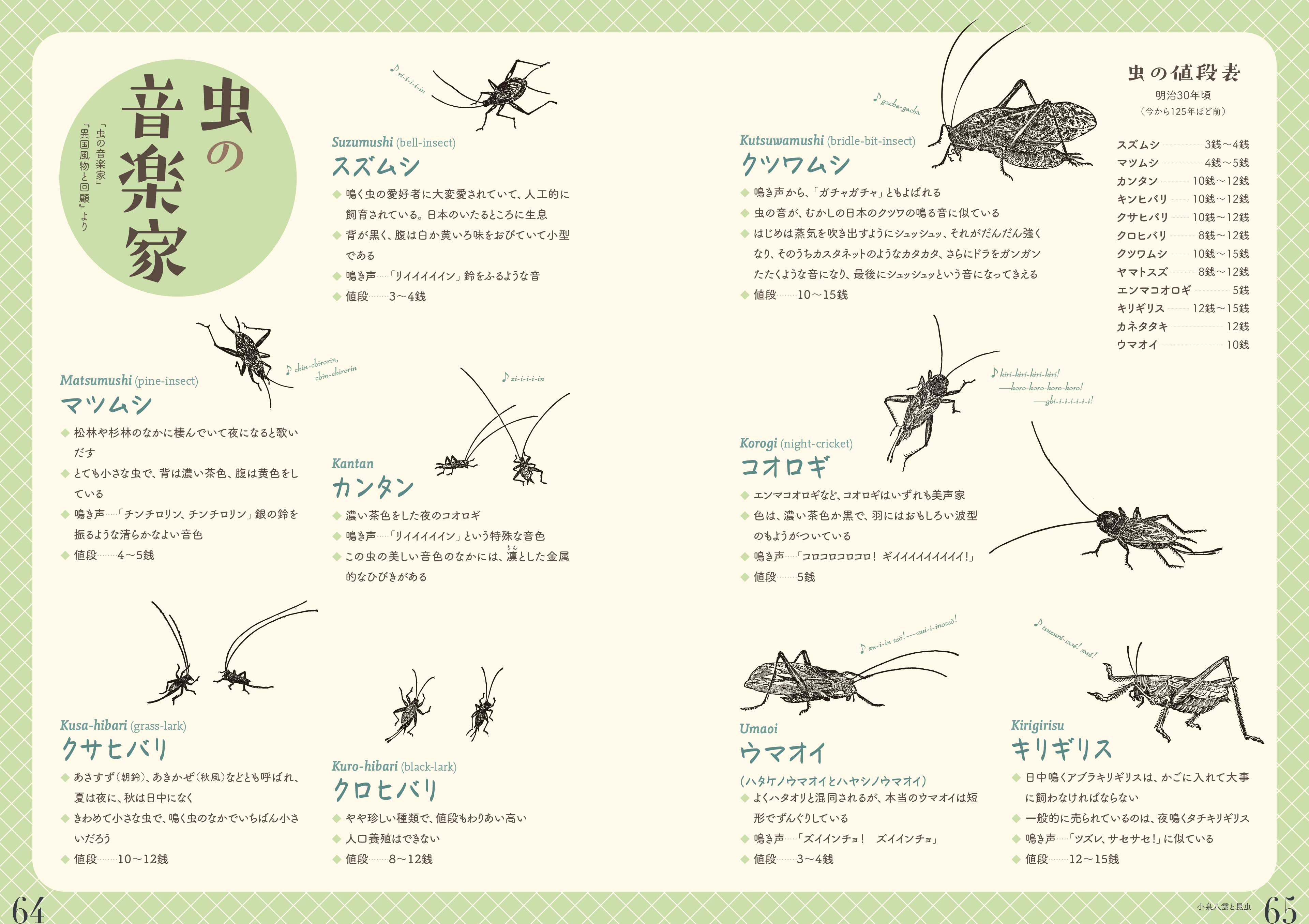 企画展図録『虫の詩 かそけきものの声音を愛す』 The Poetry of