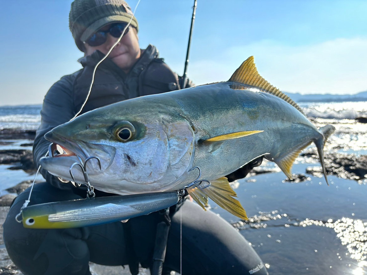 TRANSCENDENCE] Mareflipp 102S (Rod)