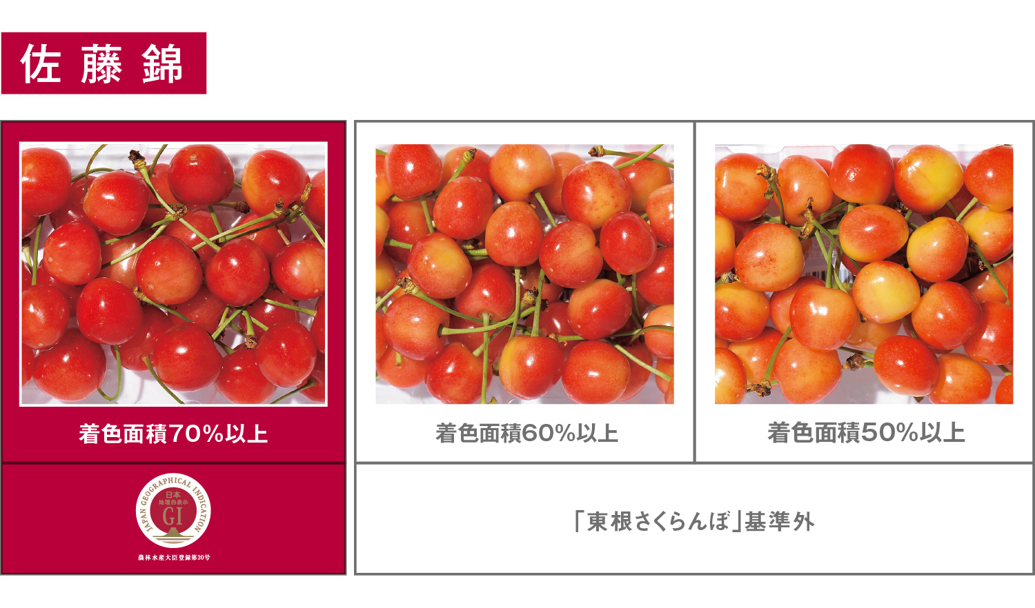 栽培・出荷基準 | 東根さくらんぼ 地理的表示（GI）保護制度