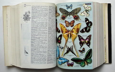 Petit Larousse – High Valley Books