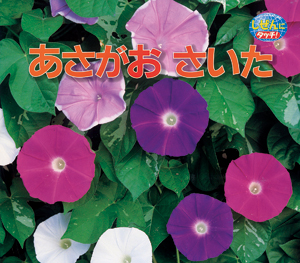あさがおさいた - 監修／大久保茂徳 写真／片野隆司ほか - ひさかた