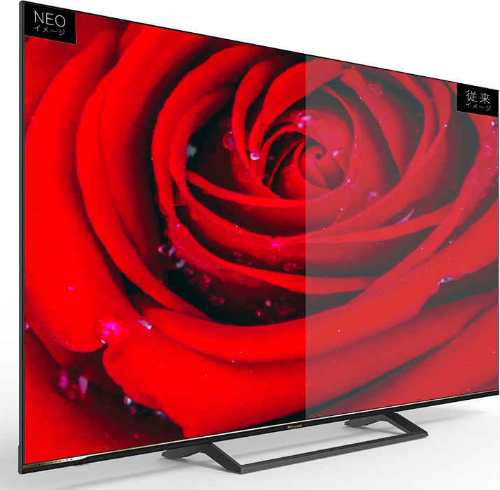 65S6E | ハイセンスジャパン株式会社