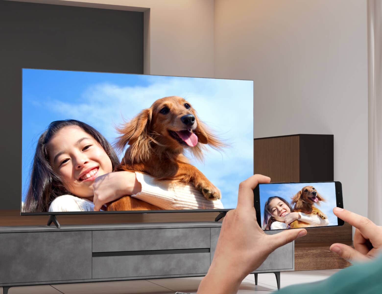 E60N | ハイセンスジャパン株式会社