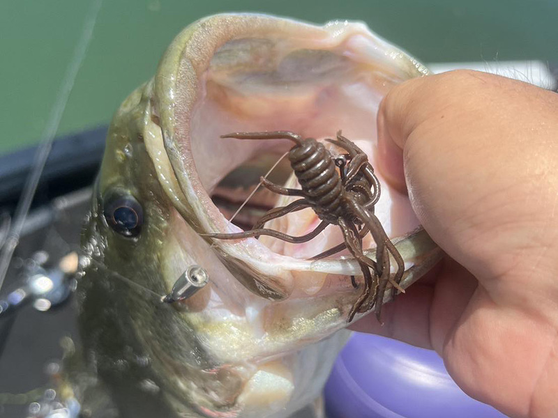 Coike Thunder ソフトルアー 16個セット コイケサンダー HIDEUP ハイド