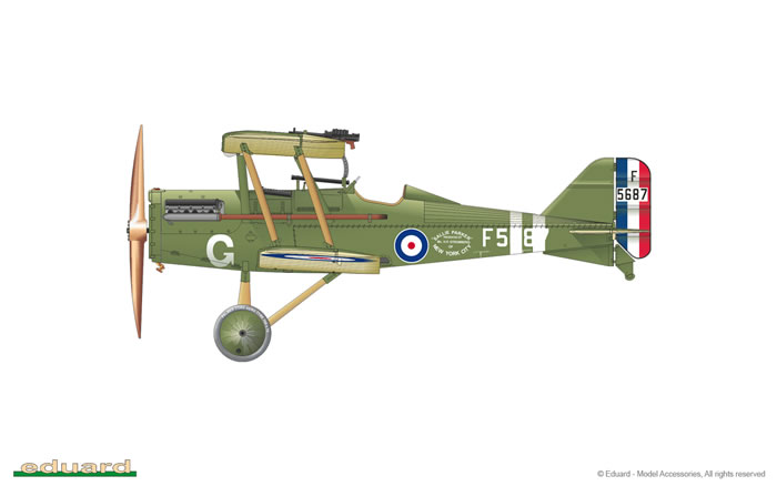 Eduard 1/48 SE5a Royal Class Dual Combo Review by David Wilson