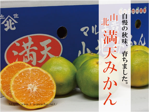山北満天みかん | くだものの山長（やまちょう）