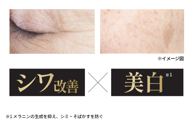 イミニ 公式サイトイミニ 薬用リンクル美白クッション セット