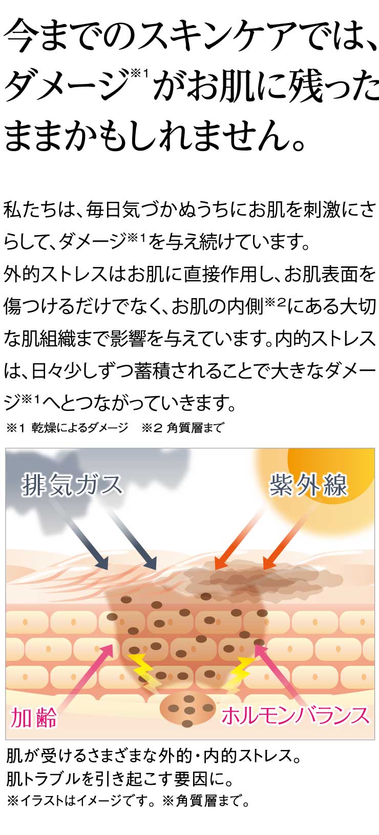 I'm PINCH（アイムピンチ）夜用クリーム | お肌のピンチを救うピンチ肌