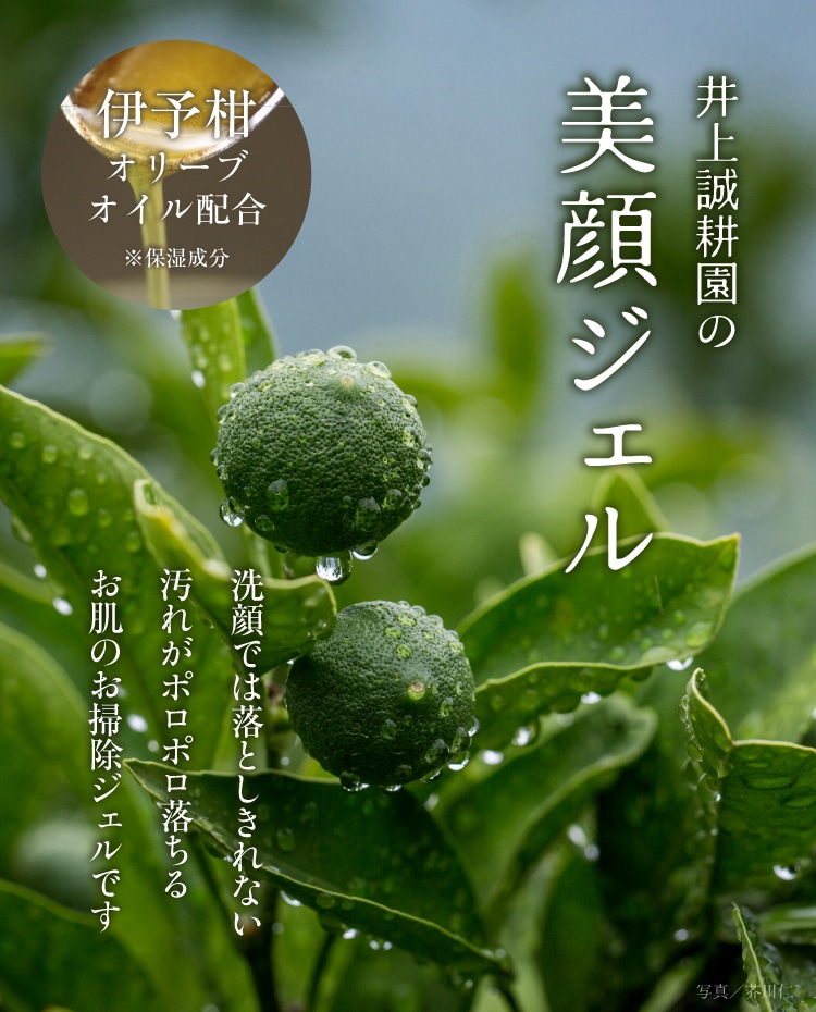 美顔ジェル | 井上誠耕園