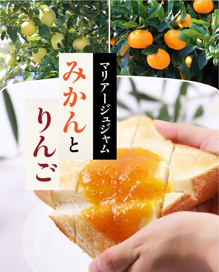 みかんとりんご 110g | 井上誠耕園