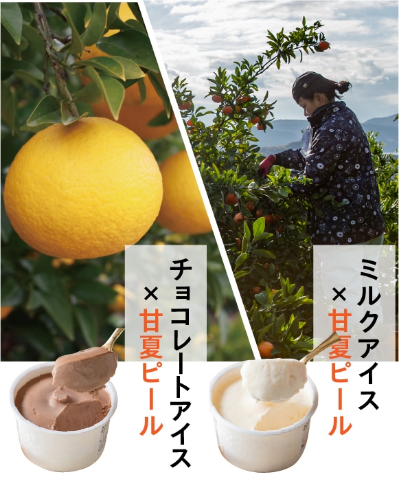 井上誠耕園のアイスクリーム | 井上誠耕園