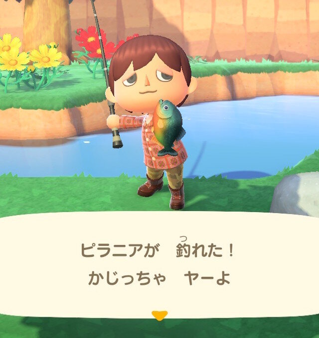 実は臆病！『あつまれ どうぶつの森』で釣れるピラニアってどんな魚
