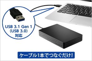 HDPH-UTR/Eシリーズ | USB 3.2 Gen 1（USB 3.0）／2.0対応ポータブル