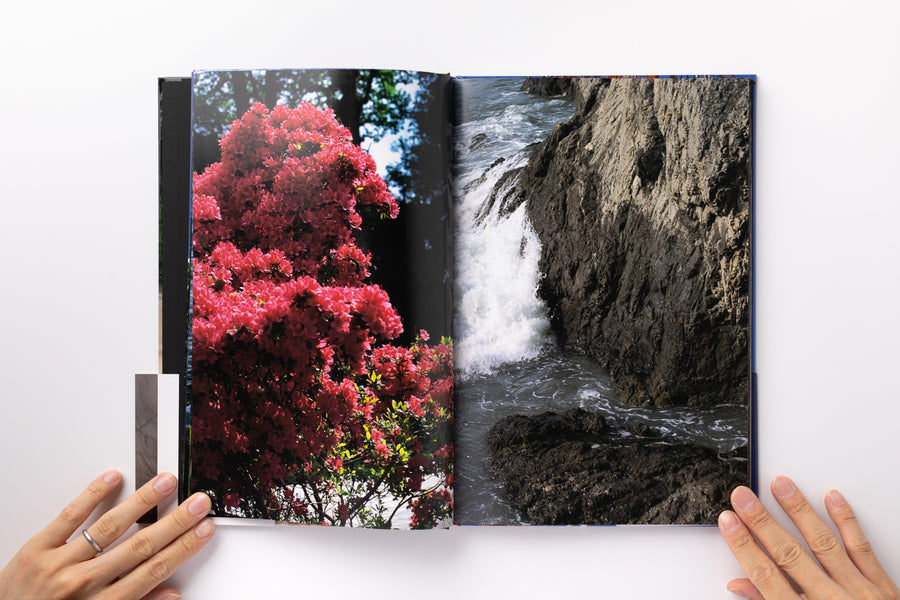 Mint) Documentary by 中平卓馬 – IACK