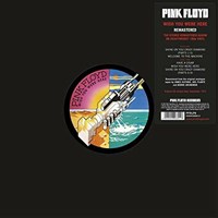 Wish You Were Here (LP) - Pink Floyd - Vinile | IBS