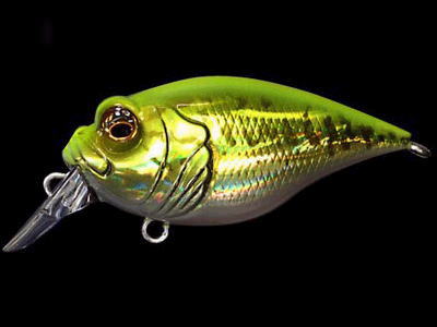 MEGABASS / GRIFFON 6CC | IchibanTackle.com