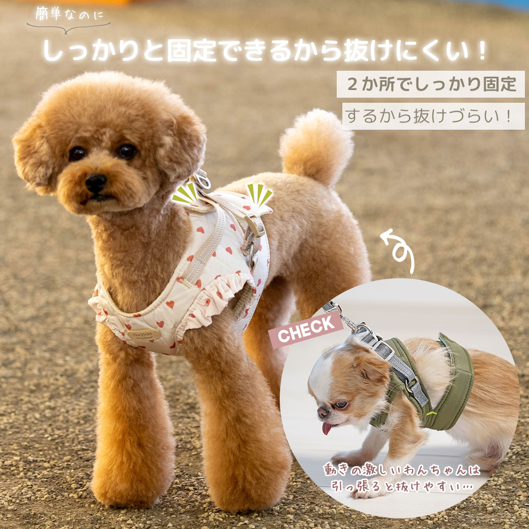 iDog fleur HugHold犬用コンフォートハーネス リード付き 撥水 防汚